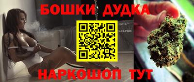 гидра Будённовск