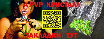 гидра Будённовск