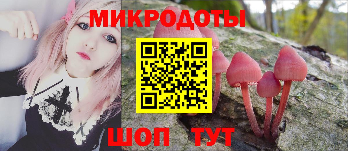 Галлюциногенные грибы GOLDEN TEACHER  Вход с VPN  Псилоцибиновые грибы Psilocybine cubensis  Псков 
